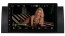 9" Android 10.0 Lecteur DVD GPS Radio Stéréo Navigation pour BMW Série 5 E39 (1995-2003)-6
